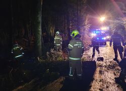 Bäume umgestürzt - Unwetter