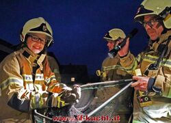 Alarmierung: Tierrettung