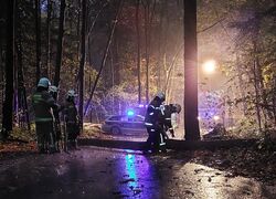 // EINSATZ // Baumwurf